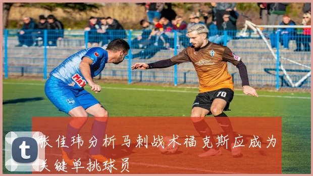 张佳玮分析马刺战术福克斯应成为关键单挑球员